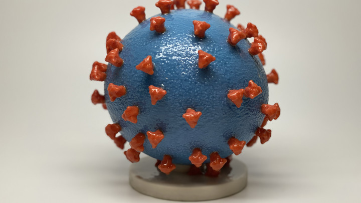 Учёные доказали: коронавирус - идеальный взломщик иммунитета