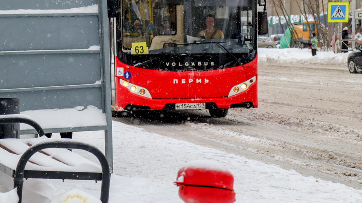 В общественном транспорте Перми установили тревожные кнопки