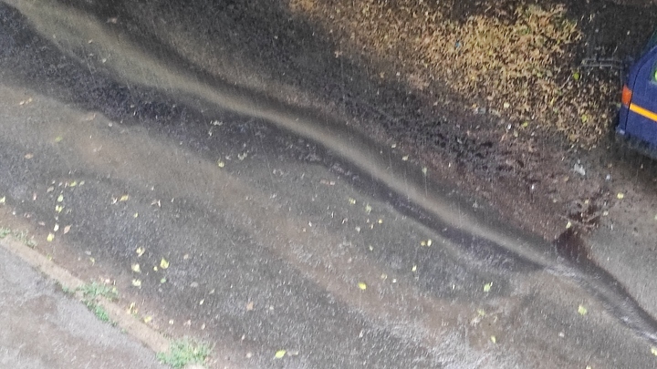 Погода в Ростове-на-Дону 23 ноября 2022: прогноз синоптиков