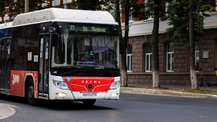 Власти Прикамья рассчитают новый тариф на проезд в общественном транспорте до 10 октября