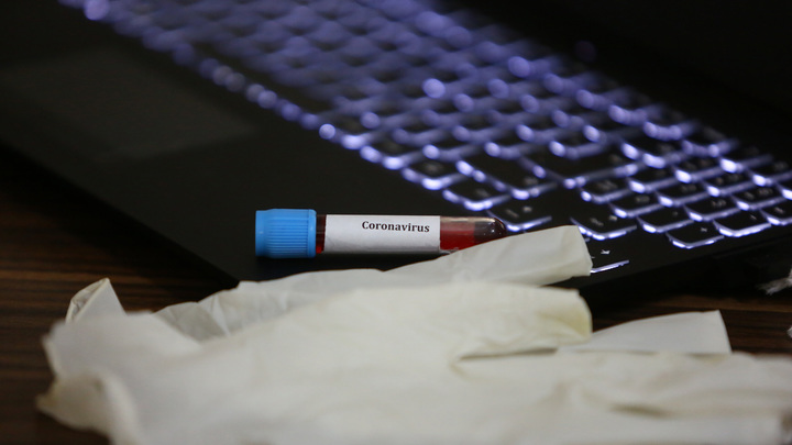 Неважно, отчего эти люди умерли: Биолог указала на интересный факт на фоне пандемии