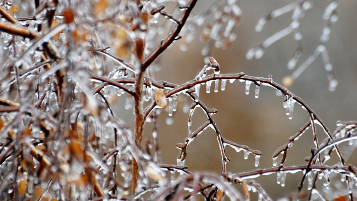 Утепляться пора: Метеоролог указал на регионы, где в выходные ждать морозов