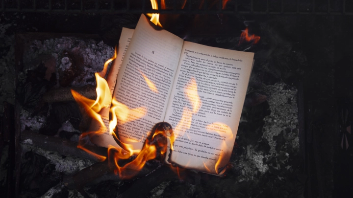 Генерал из Литвы встал на защиту русского языка. Дойдёт до сжигания