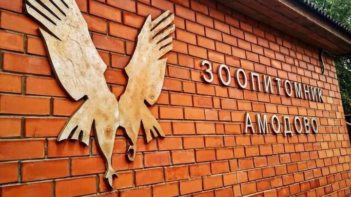 Зоопитомник Амодово можно посетить, предоставив ковидный сертификат