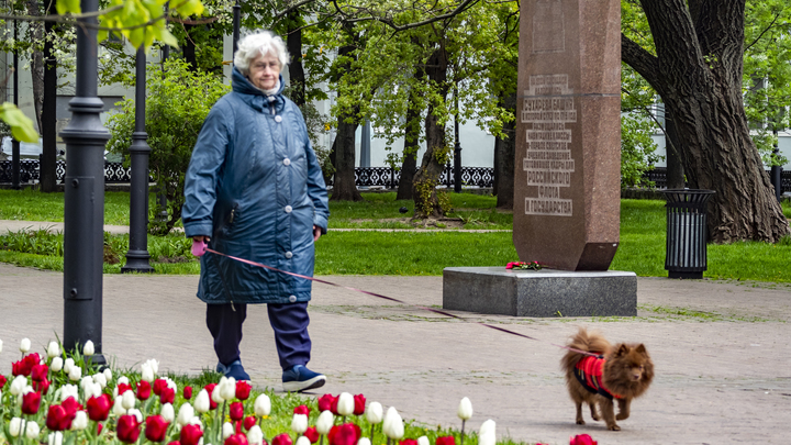 Жителей Зауралья штрафуют за неправильный выгул собак на 2000 рублей