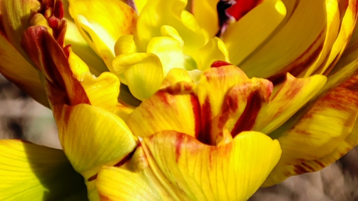 Лунный посевной календарь на 22 июля 2023: что сажать сегодня, советы садоводам и огородникам