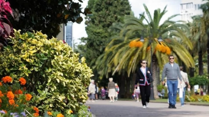 Самые дорогие апартаменты на Черноморском побережье можно приобрести в Сочи за 767 млн рублей