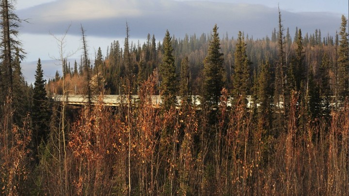 Теперь войны не избежать: Русские требуют от США отдать уже не только Аляску