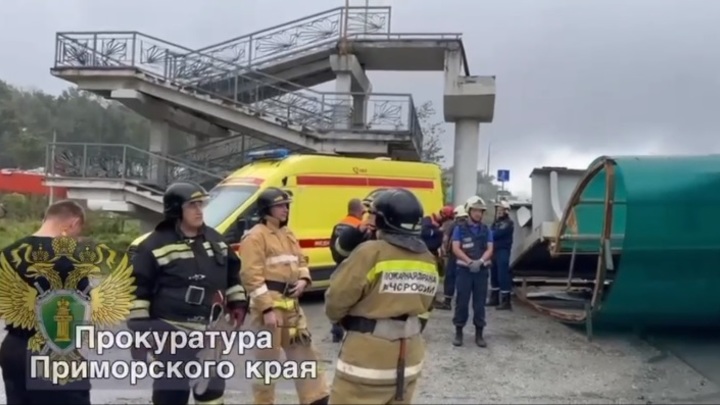 Самосвал сломал виадук, сооружение упало и перекрыло трассу под Владивостоком