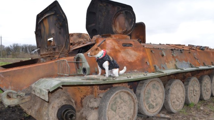 Полянский: Запад использует украинцев как пушечное мясо