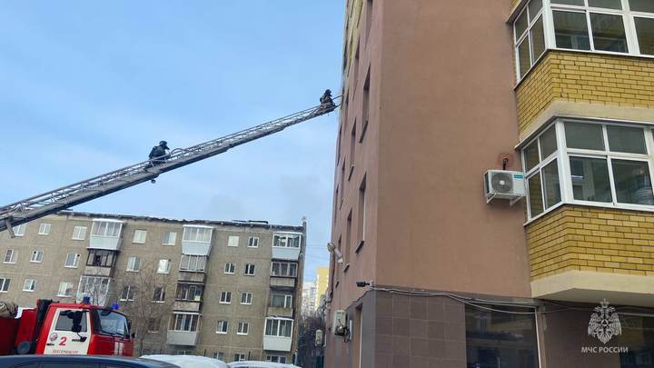 При пожаре в многоэтажке на улице Крауля в Екатеринбурге погибли домашние животные
