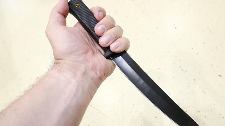 Убийца перерезал шею мужчине в лесопарке Москвы и был задержан