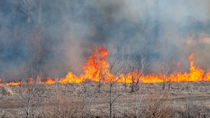В Кузбассе потушили пожары на полях вблизи жилых домов