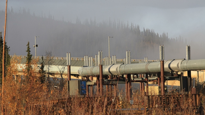 Тема аммиака закрыта: Мардан пожалел партию мира