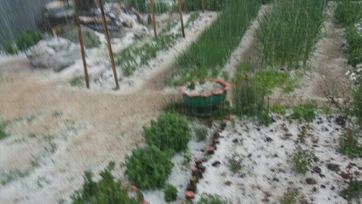 Град размером с перепелиное яйцо выпал в Ветлуге 9 июня