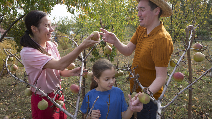 Русские женщины преподали урок ЕСПЧ и всему Западу: Никто не может нас заставлять