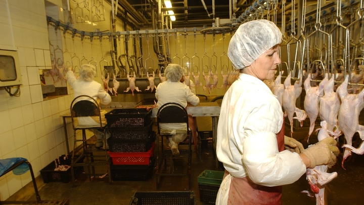 Чиновники выставили на продажу Рефтинскую птицефабрику в Свердловской области