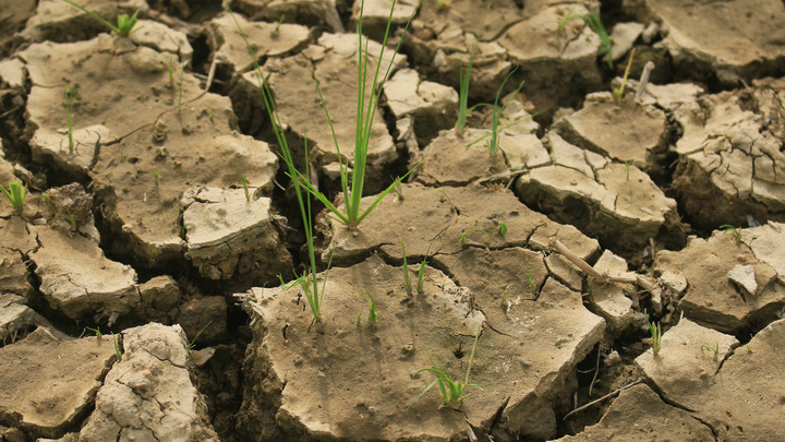 Прогноз на 2022 год встревожил народ России: Ковид, война и пустые поля