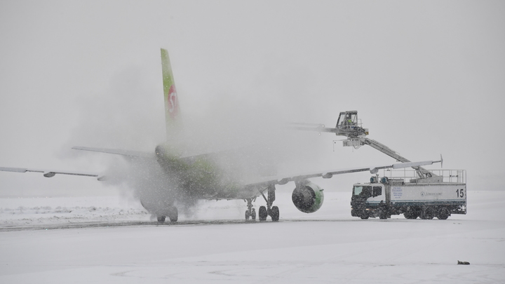 Коллапс не только на земле, но и в небе: Снегопад сковал Домодедово