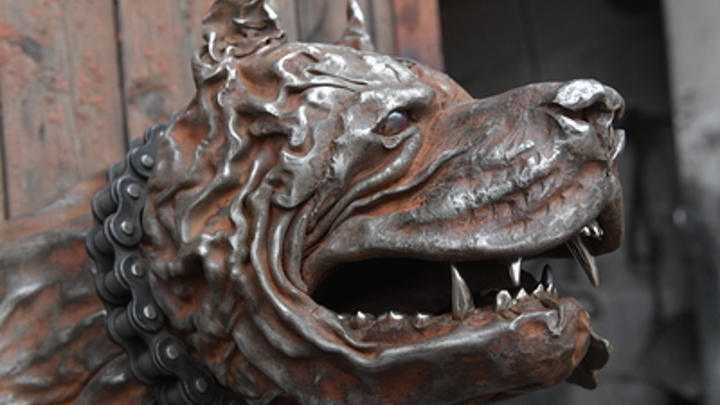 Сатановский показал углеродный заговор на собаках и кошках: Всё живое на планете уничтожить