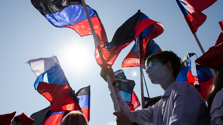 ДНР впервые в мире признали независимым государством