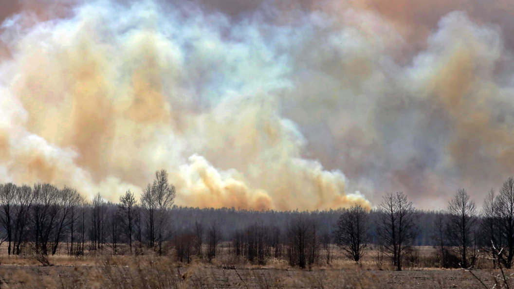 Пожар радиация. Лесные пожары в Чернобыльской зоне (2020). Пожар в радиационных лесах. Брянский лес радиация. Рыжий лес Чернобыль фото.