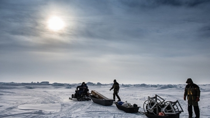 Битва за энергоресурсы сместилась в Арктику: США превращают Гренландию в плацдарм для авиации