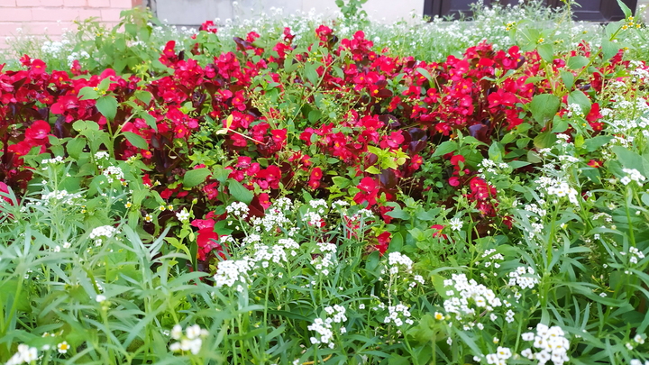 В Москве благоустроили 4 тысячи дворов: осенью работы продолжают