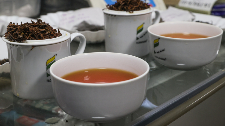 Названы напитки, которые нельзя употреблять на пустой желудок