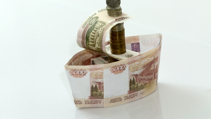 Стала известна заработная плата директора Новосибирского зоопарка Андрея Шило в 2022 году
