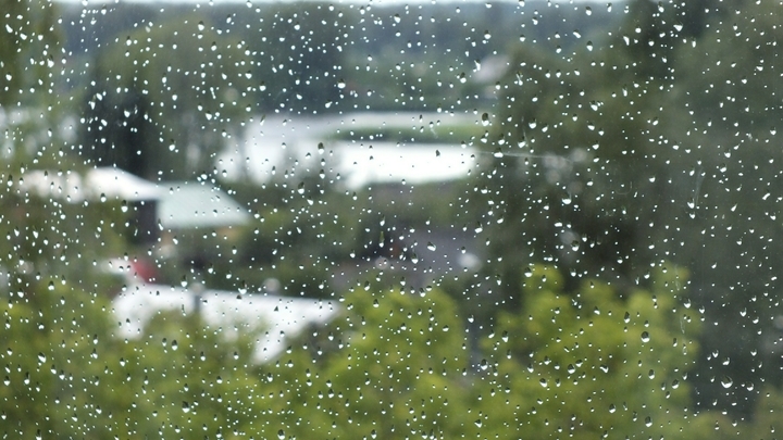 Пожар в лесу под Геленджиком увеличился в пять раз