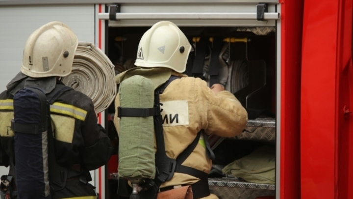 В сочи леса охраняют 16 патрульных групп