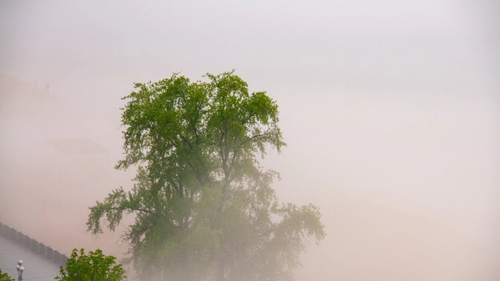 Дым от пожара на Кременчугском НПЗ растянулся на 140 км и дошел до Кривого Рога
