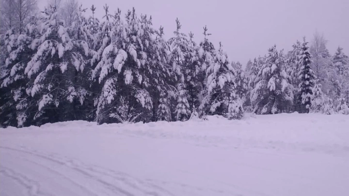В Поморье погоня закончилась разочарованием и звонком в 112