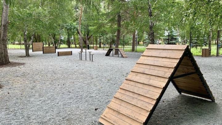 В челябинском Саду Победы отгородили участок для выгула собак