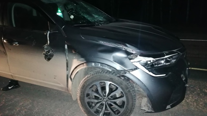 В ночном ДТП на трассе М-5 в Челябинской области внедорожник сбил двух пешеходов