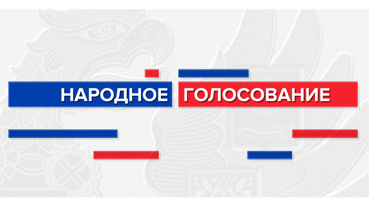 Народное голосование: делаем русский выбор