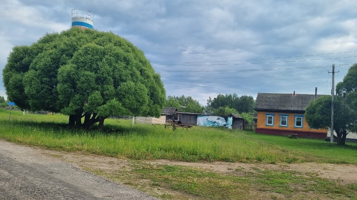 Первый фестиваль Том Сойер Фест стартовал в Арзамасе Нижегородской области