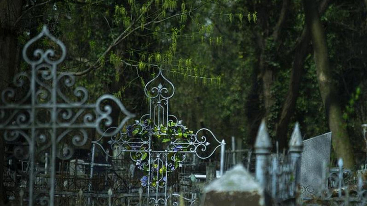 Для реконструкции Всесвятского кладбища Краснодара начнут расчистку его территории