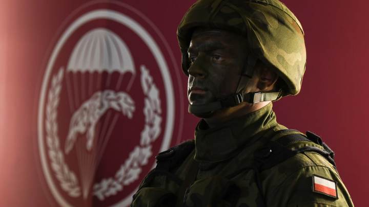 Особый статус поляков позволит им ввести войска на Украину — экс-дипломат