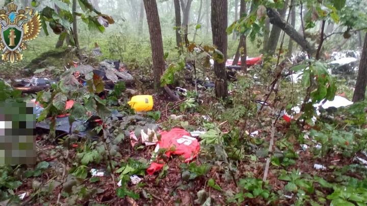 Прокуратура показала фото с места крушения легкомоторного самолета в Приморье