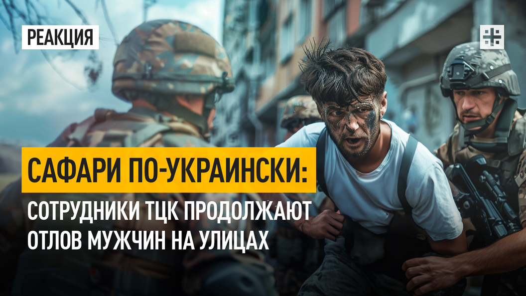 https://img.tsargrad.tv/cache/a/8/reakciya-006_2_.jpg/w1056h594fill.jpg
