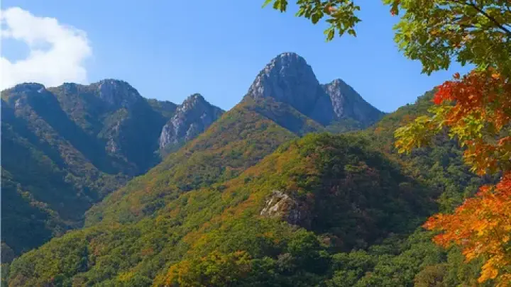 Блогер Гасанханова: посещение КНДР вылечило от привычки жаловаться на жизнь