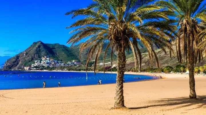 Кровавые волдыри по плечо: Ядовитые существа атаковали русских туристов в постели отеля на Пхукете