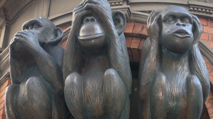 В Биокластере на ВДНХ открывается выставка Осторожно, обезьянки!