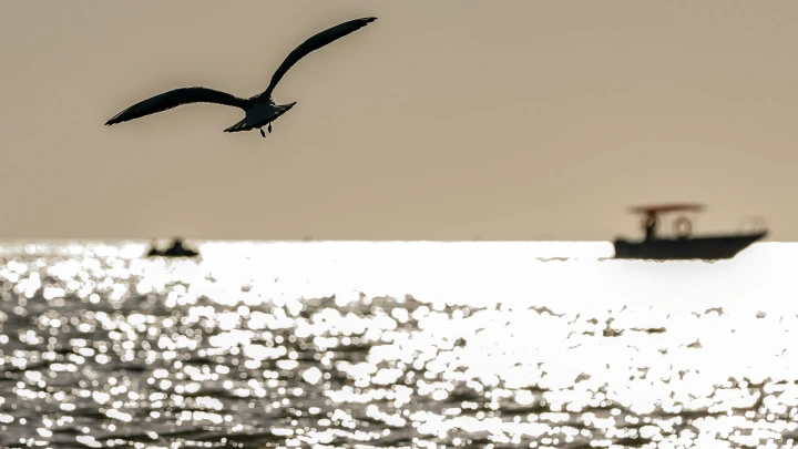 Когда выгоднее всего отдыхать в 2026 году: советы экспертов