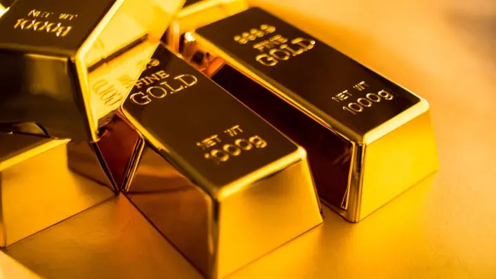 Итальянец выбросил в мусор золотые слитки на 11 млн.руб из-за склероза