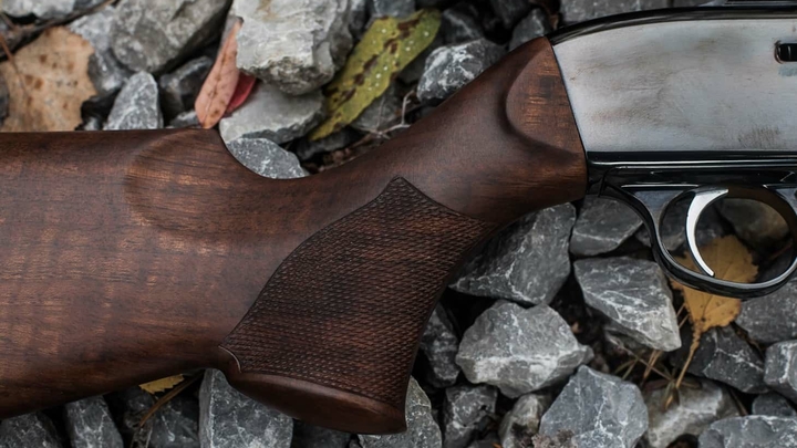 Житель Свердловской области расстрелял собаку из охотничьего ружья