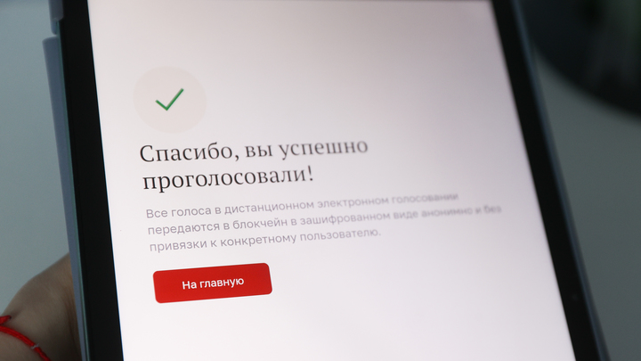 Общественный штаб: тестовое голосование перед выборами в МГД прошло успешно
