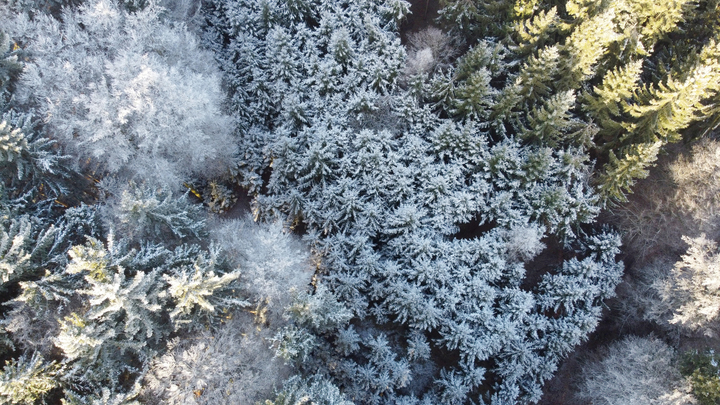 Попробуйте сами найти: Тело Влада Бахова на загадочной фотографии искали всей редакцией